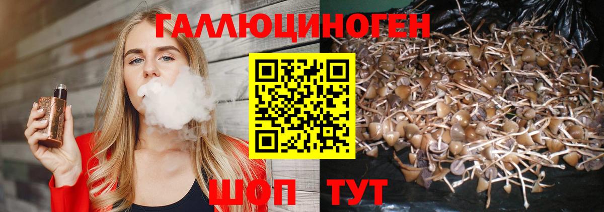Анжеро-Судженск  Галлюциногенные грибы прущие грибы  Вход с VPN 