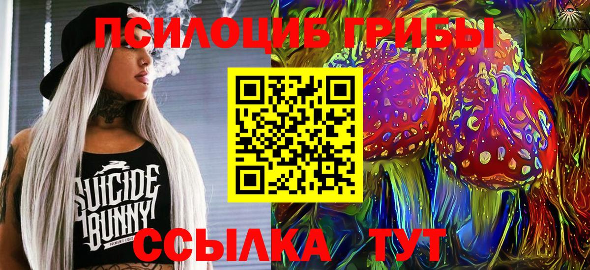 Галлюциногенные грибы ЛСД Анжеро-Судженск
